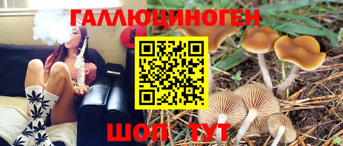 Бутурлиновка  Псилоцибиновые грибы Psilocybine cubensis  где продают наркотики  Вход с VPN  Галлюциногенные грибы мицелий 